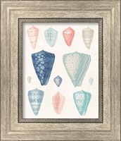 Framed 'Colorful Shell Assortment II Coral Cove' border=