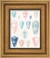 Framed 'Colorful Shell Assortment I Coral Cove' border=