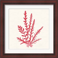 Framed 'Pacific Sea Mosses III Red' border=