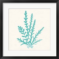 Pacific Sea Mosses III Aqua Framed Print