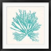 Framed 'Pacific Sea Mosses II Aqua' border=