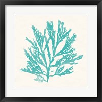 Pacific Sea Mosses I Aqua Framed Print