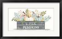 Framed U-Pick Pumpkins