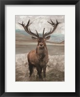 Framed Grand Elk 1