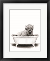 Framed Bison in Tub