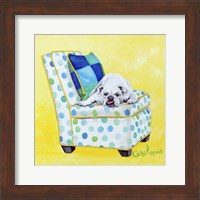 Framed 'Bulldog on Polka Dots' border=