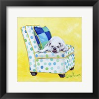 Framed 'Bulldog on Polka Dots' border=