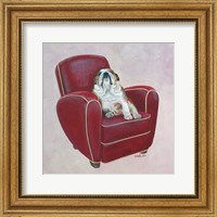 Framed 'Bulldog on Red' border=