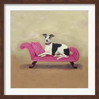 Framed Italian Greyhound on Pink