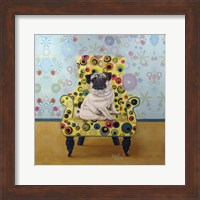 Framed Pug-a-dots