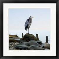 Framed Beachscape Heron I