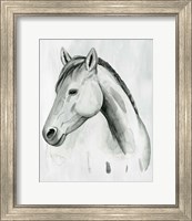 Framed 'Silver Gelding II' border=