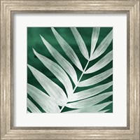 Framed 'Velvet Palm II' border=