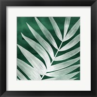 Velvet Palm II Framed Print