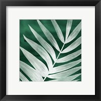 Framed 'Velvet Palm II' border=