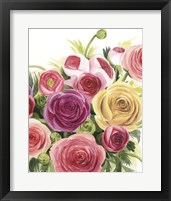 Framed 'Ranunculus Study II' border=