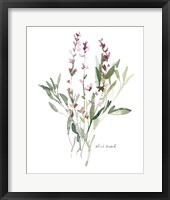 Herb Garden Sketches V Framed Print