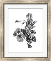 Framed 'Toucan Toile I' border=