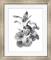 Framed 'Toucan Toile II' border=