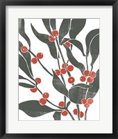 Colorblock Berry Branch II Framed Print