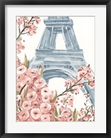 Paris Cherry Blossoms I Framed Print