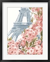 Framed Paris Cherry Blossoms II