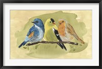 Framed Bird Perch I