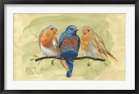 Bird Perch II Framed Print