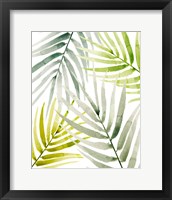 Framed 'Shady Palm I' border=