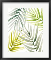 Shady Palm I Framed Print
