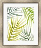 Framed 'Shady Palm II' border=