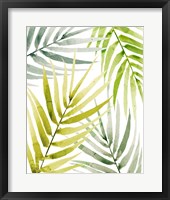 Framed Shady Palm II