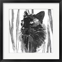 Still Cat I Framed Print