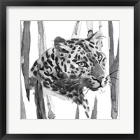 Still Cat II Framed Print