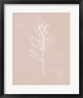 Framed Blush Bloom I