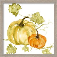 Framed 'Watercolor Harvest II' border=