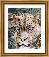 Framed 'Jungle Cat II' border=