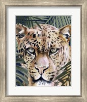 Framed 'Jungle Cat II' border=