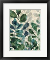 Verdant Sophistication IV Framed Print