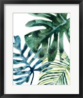 Framed 'Tropical Leaf Medley III' border=