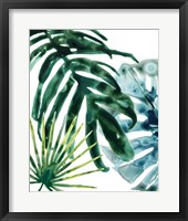 Framed 'Tropical Leaf Medley IV' border=