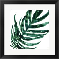 Tropical Jewel VI Framed Print