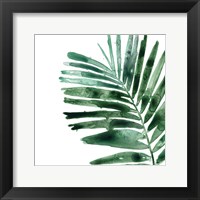 Framed 'Tropical Jewel VII' border=