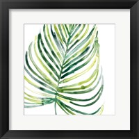 Tropical Jewel IX Framed Print