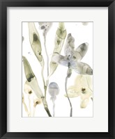 Stone Moss Stems I Framed Print