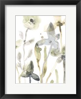 Stone Moss Stems III Framed Print