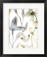 Stone Moss Stems IV Framed Print