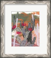 Framed 'Desert Flowers II' border=