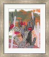 Framed 'Desert Flowers II' border=