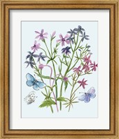 Framed 'Wildflowers Arrangements II' border=